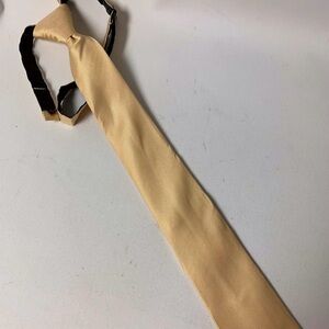 Men’s Gold Knotted Necktie NWOT